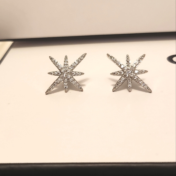 North Star Earrings StSt - Picture 3 of 3